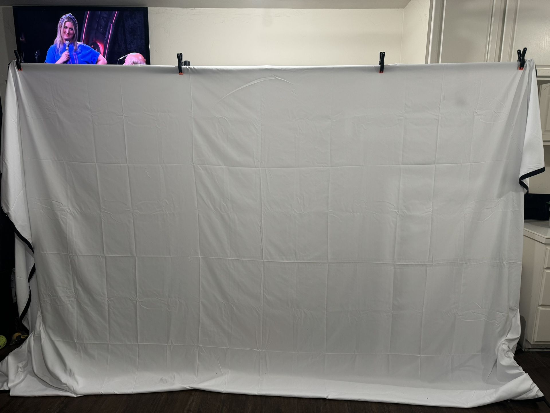 Projector Screen/studio Backdrop