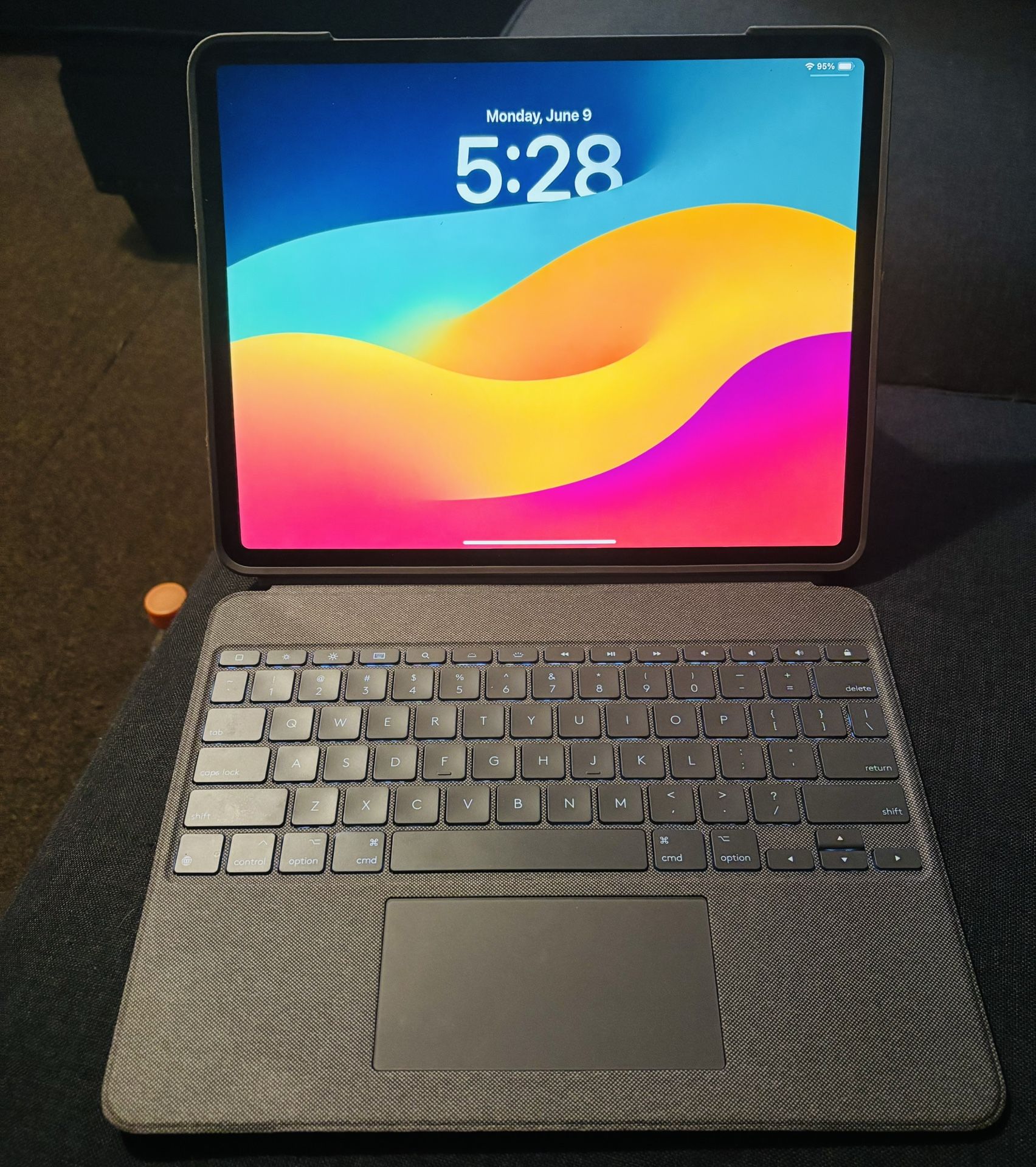 I Pad pro 12.5 WiFi Only
