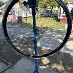 Rovals Rims