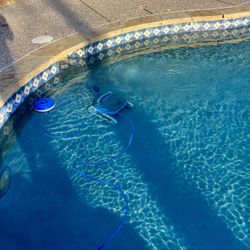 Dolphin Cayman Pool Cleaner