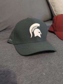 Michigan Hat