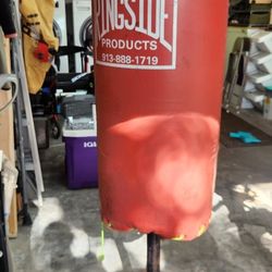 Punching/Workout Bag