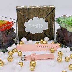 Fitbit Versa Charge 3 Watch Replacement Band