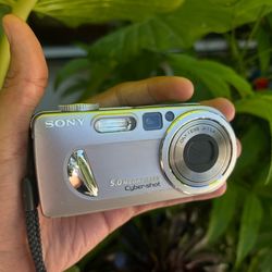Sony Cybershot DSC-P10 Digital Camera