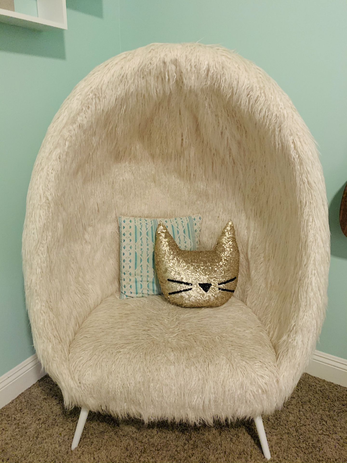 Fury Pottery Barn Egg Chair