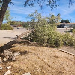 Free wood near 22nd street and craycroft