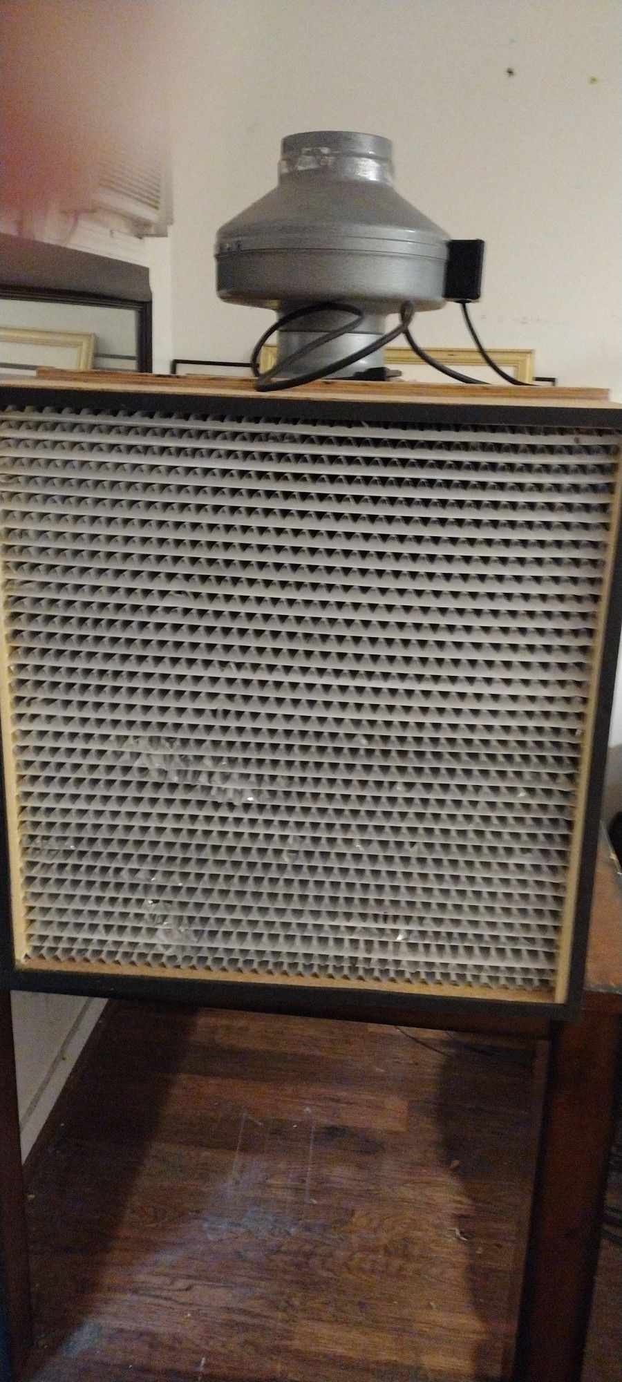 Mushroom Grow (Flowhood)