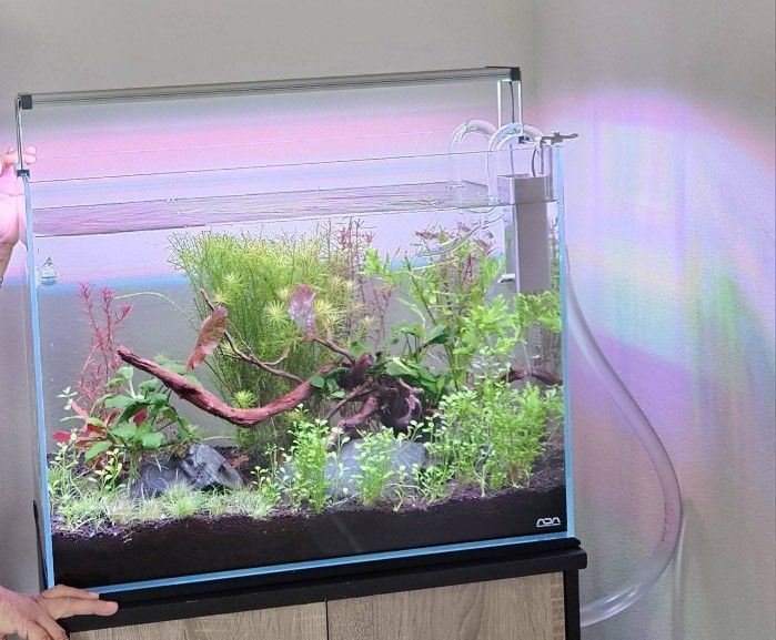 Hi Tech Aquarium Setup