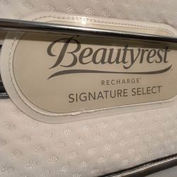 Used But Clean Electric Medical  Adjustable Twin Bed 