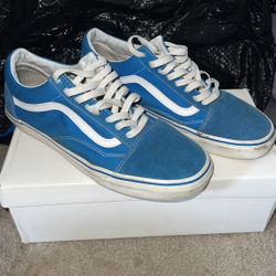 Vans Skate Shoe
