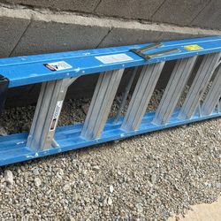 8 Ft Ladder
