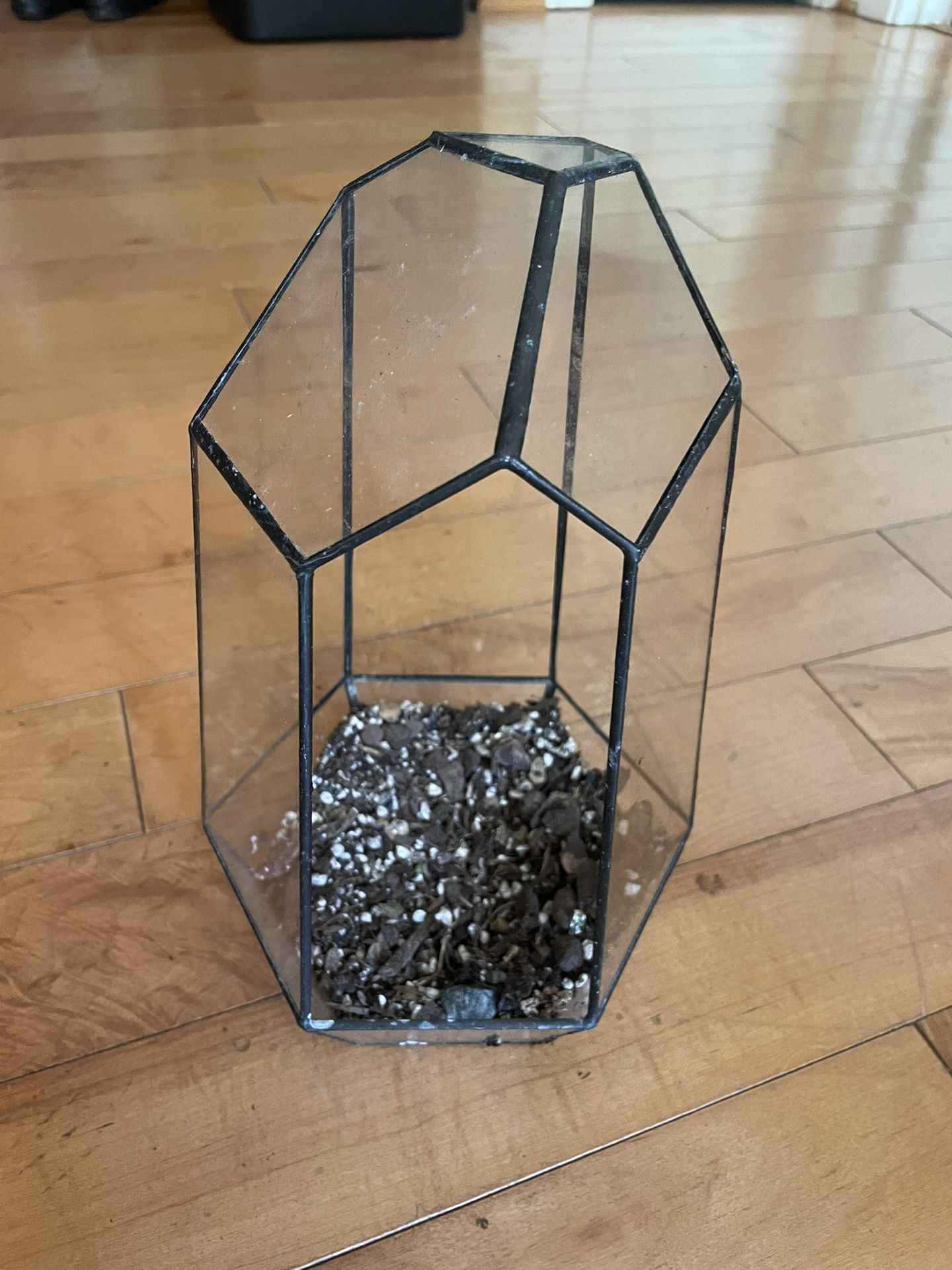 Glass Terrarium
