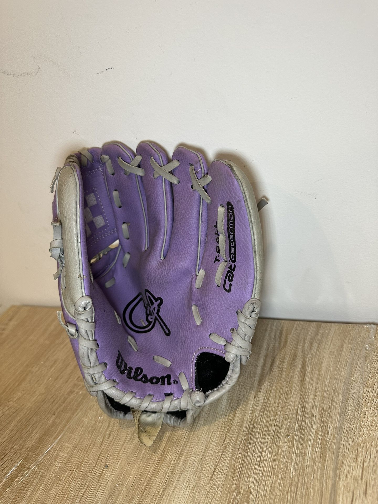 Wilson Youth T-Ball Glove.
