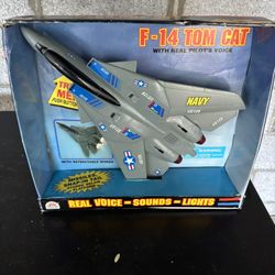 F-14 Tom Cat