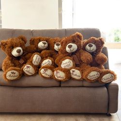 Customizable Teddy Bear 