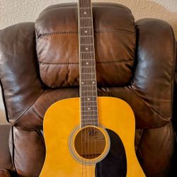 Acoustic Guitar Rogue
