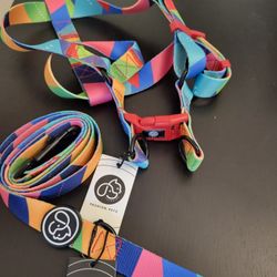 Everking Harness And Leash Set