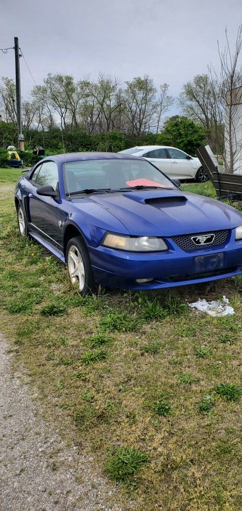 2004 Ford Mustang