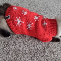 Cat Or Small Dog Sweater/Top. Hand Knitted,New