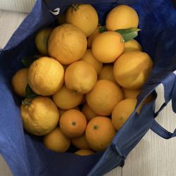 Fresh lemon from my tree