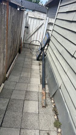 FREE Basketball Hoop