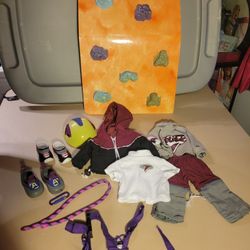 Rock wall and Rock Climbing/gym outfit for 18in doll