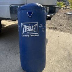 Heavy Boxing Hanging Bag