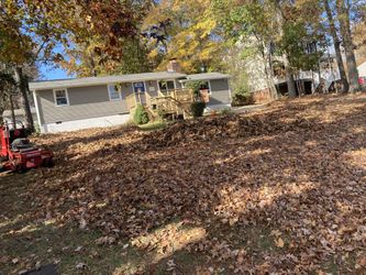 Leaf Cleaning ,vacuum , Gutters
