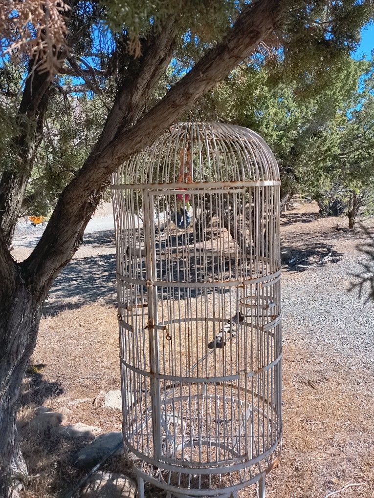 White Large Metal Bird Parrot Victorian Cage