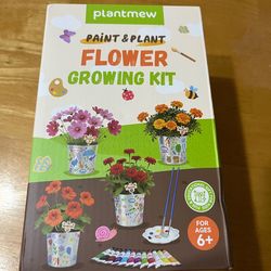 Kids Paint and Plant Flower Growing Kit