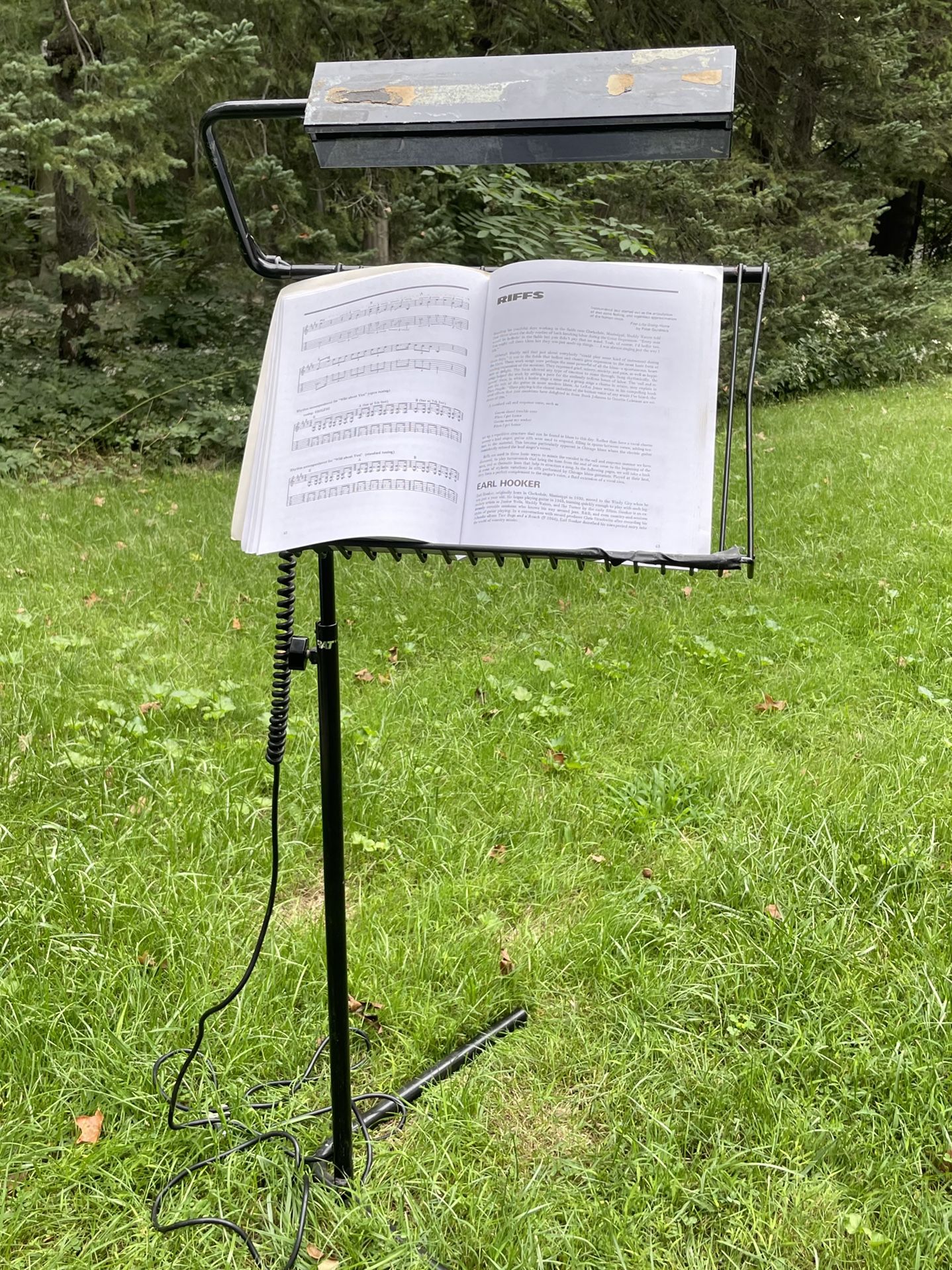 VTG Rat Conductor Music Stand Lighted