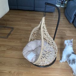 Cat Hammock