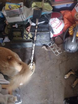 Gold Bug Fisher Metal Detector 