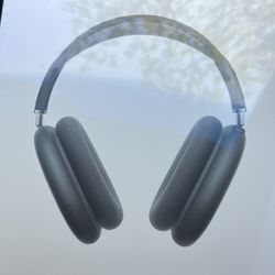 Apple Maxes 2- Midnight