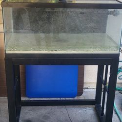 Aquarium With Sump Tank