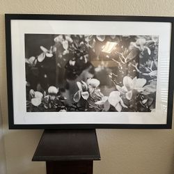 Large Art/Frame