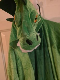 Green Dragon Halloween Costume s/m