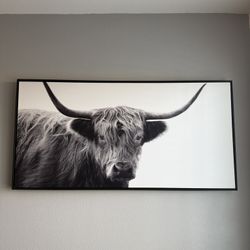 Black And White Bull Print