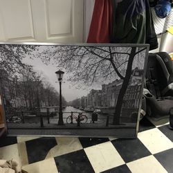 Large Framed picture