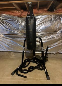 Everlast Heavy Bag with Stand and Battle Rope