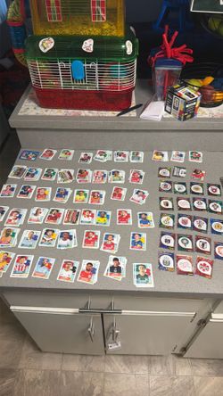 Panini World Cup stickers