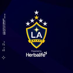 4 Tickets For LA Galaxy VS DC United 7/12/35 7:30pm.