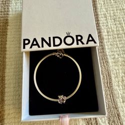 Pandora Bracelet 