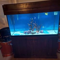 90 Gal Fish Tank 