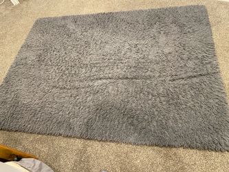 Gray rug