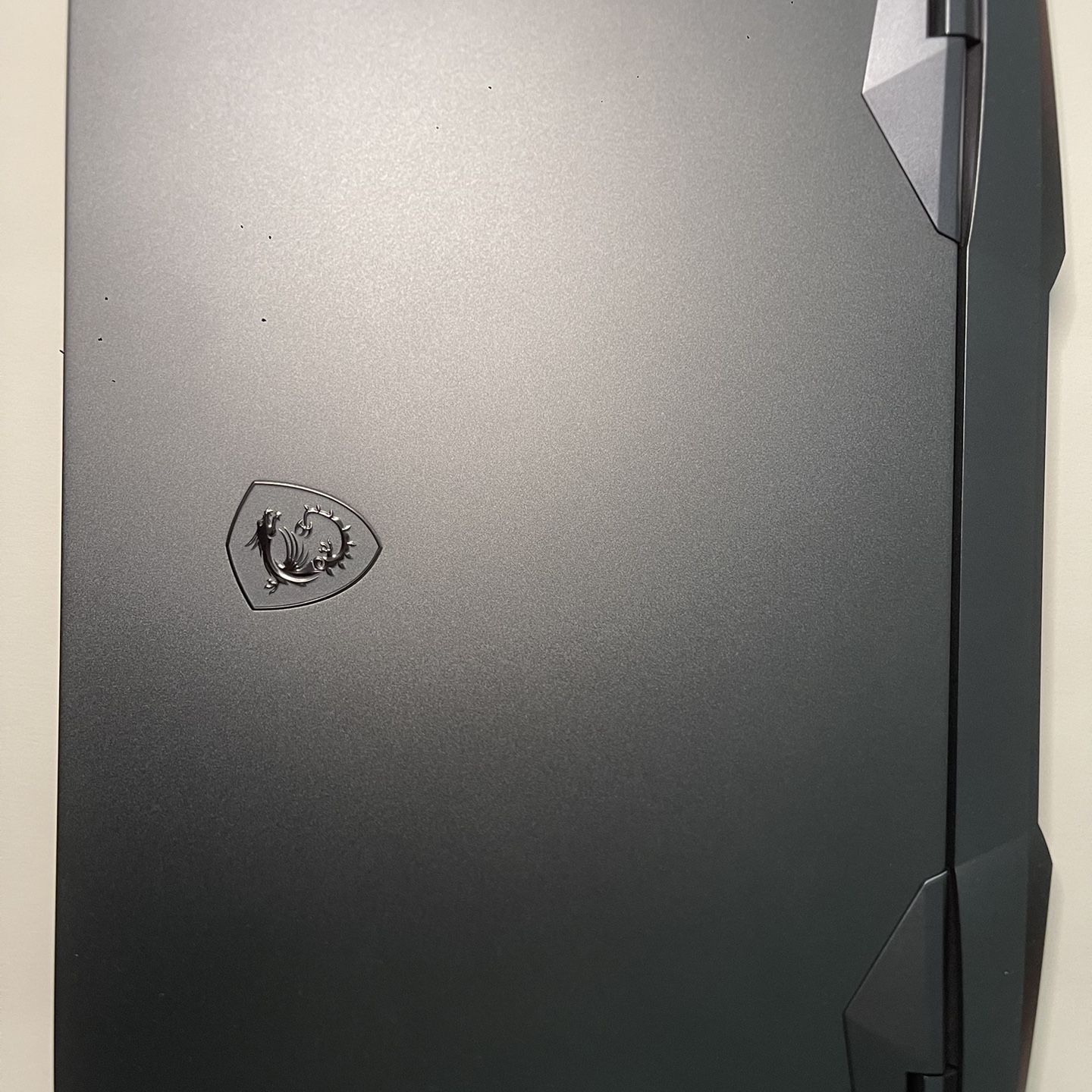 MSI GE 66 RAIDER (Gaming laptop)