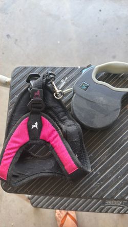 Body harness and retractable leash