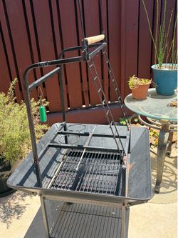 Bird stand