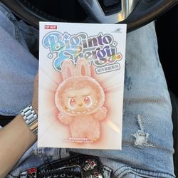 Labubu Big Into Energy 