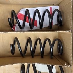 Oem Stock Springs Of fL5 2024